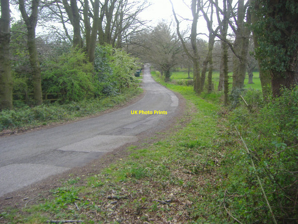 Photo 6"x4" Stokes Heath Road North Oxshott c2010