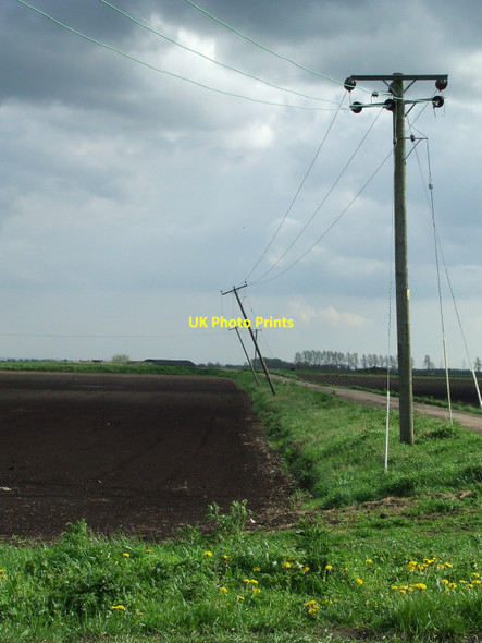 Photo 6"x4" The Leaning Poles Of Pickwillow Prickwillow c2010