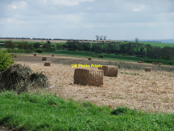 Photo 6"x4" Miscanthus Bales Bonby c2010
