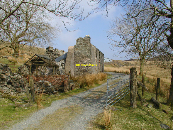 Photo 6"x4" Bugeilyn Farm Bugeilyn\/SN8292 c2003