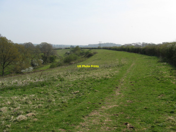 Photo 6"x4" The Wey-South Path following the course of stream in the valley Bedham c2010