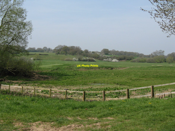 Photo 6"x4" NW from the Arun Canal across the Arun flood meadows Strood Green\/TQ0224 c2010