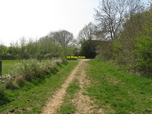 Photo 6"x4" Bridleway to Lee Place Lodge Adversane c2010