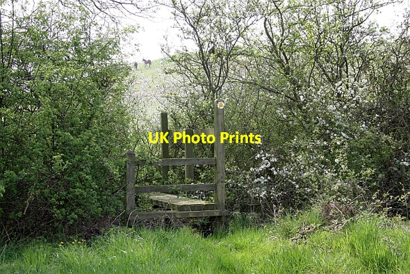 Photo 6"x4" Footbridge near Hooze Farm Hardwick Green c2010