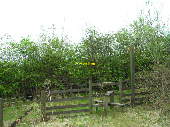 Photo 6"x4" Junction of footpaths Garnant c2010