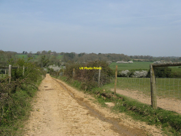 Photo 6"x4" Bridleway north from Lee Place House to the disused Arun Canal Adversane c2010