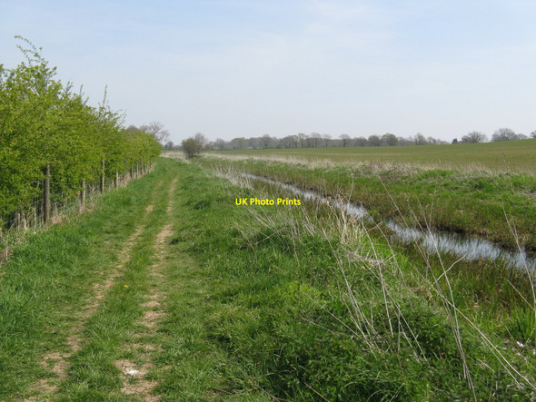 Photo 6"x4" Towpath by the Arun Canal Adversane c2010