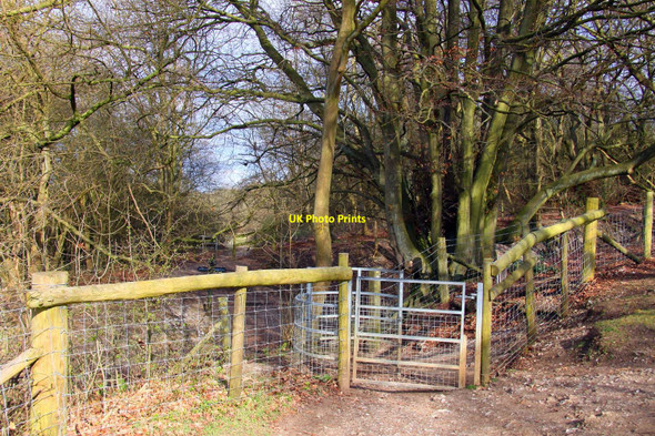 Photo 6"x4" Kissing gate on the Ridgeway Wendover c2010
