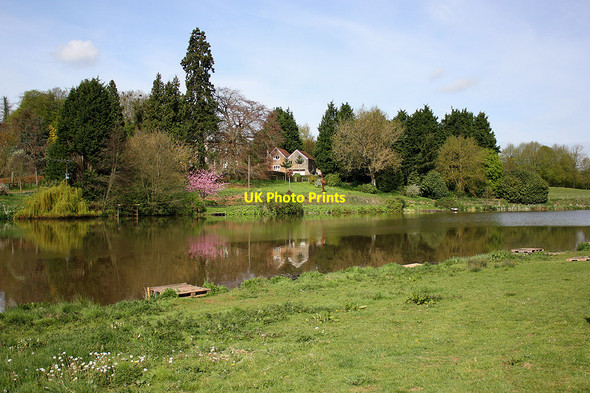 Photo 6"x4" Springtime, Hartleton Water Bromsash c2010