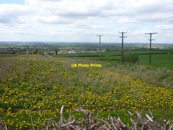 Photo 6"x4" Meadow by the lane to Clarborough Clarborough c2010