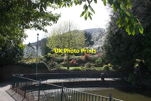 Photo 6"x4" The Rose Garden and Swan Pool Great Malvern c2010