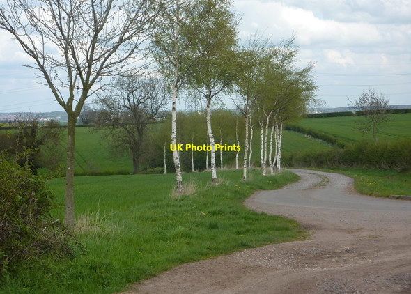 Photo 6"x4" Farm track near Clarborough Grange Clarborough c2010