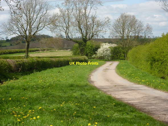 Photo 6"x4" Track towards the A620 Clarborough c2010