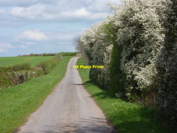 Photo 6"x4" Whinleys Road in the spring Clarborough c2010