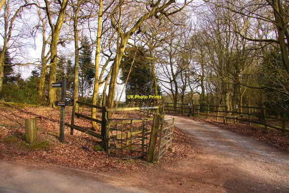 Photo 6"x4" The Ridgeway Buckmoorend c2010