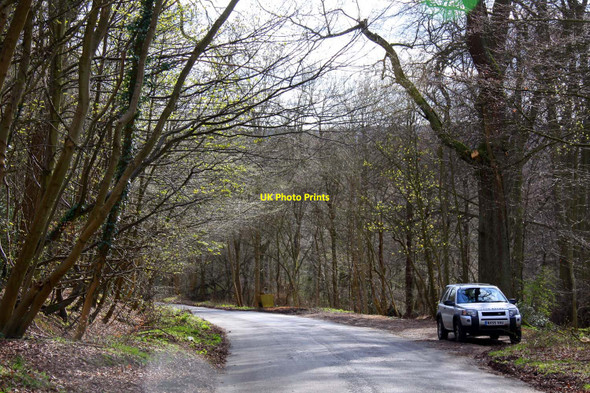 Photo 6"x4" Looking down Lodge Hill Buckmoorend c2010