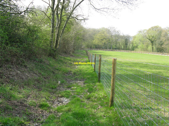 Photo 6"x4" The Wey-South Path running alongside the B2133 Newpound Common c2010