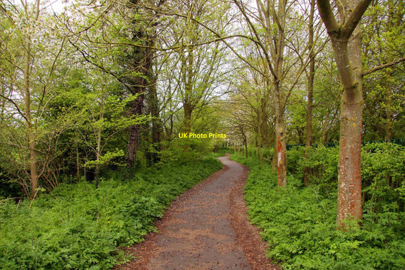 Photo 6"x4" Footpath to Cogges Manor Farm Museum Witney c2010