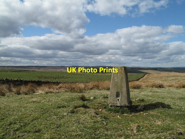 Photo 6"x4" Trig Point on Hindon Hill Woodland\/NZ0726 c2010
