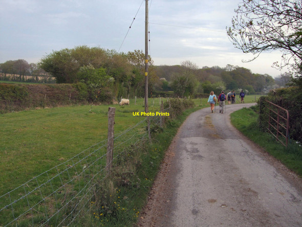 Photo 6"x4" Path near Hortons Plumpton Green c2010