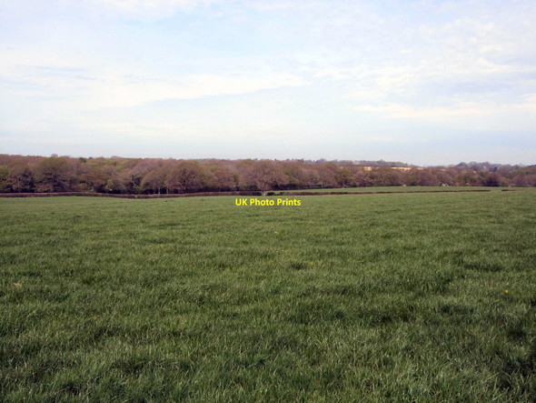 Photo 6"x4" Field near St Helena Farm Wivelsfield Green c2010
