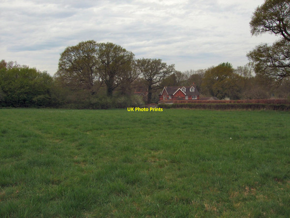 Photo 6"x4" Field north of West Wood Wivelsfield c2010