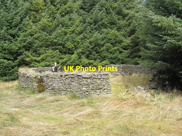 Photo 6"x4" Sheepfold, Scotchcoultard Waste Sweet Sike c2010