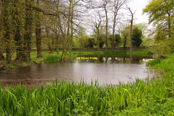 Photo 6"x4" A pond to the west of Minster Lovell Hall Little Minster c2010