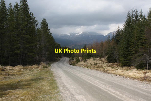 Photo 6"x4" Road in Corrour Forest Allt Creagan na Seabhaig c2010