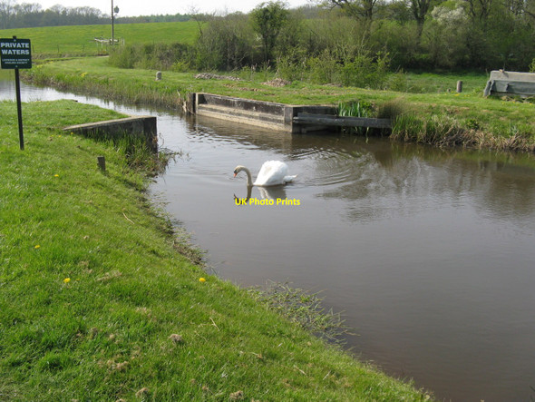 Photo 6"x4" Heavy load bridge on the Wey Arun canal Roundstreet Common c2010