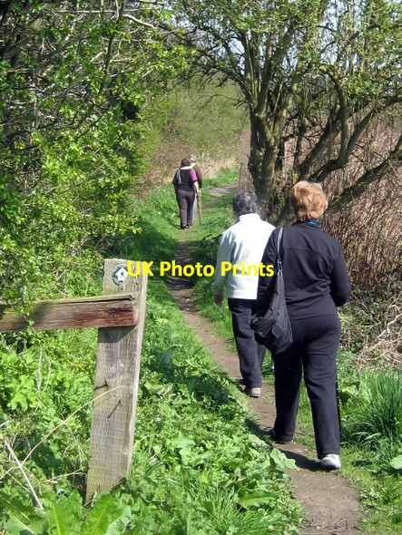 Photo 6"x4" Walking group Bottom Boat c2010