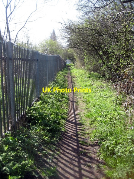 Photo 6"x4" Footpath, Trans Pennine Trail Stanley\/SE3424 c2010