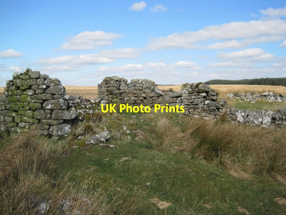 Photo 6"x4" Shieling near the River Irthing Hag Sike c2010
