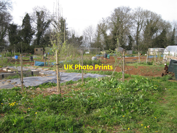 Photo 6"x4" Edgehill allotments Edgehill\/SP3747 c2010