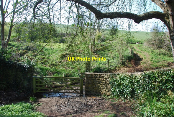 Photo 6"x4" Abbotsbury: Gate leading to Footpath Abbotsbury\/SY5785 c2010