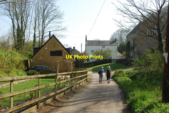 Photo 6"x4" Abbotsbury: Grove Lane Abbotsbury\/SY5785 c2010