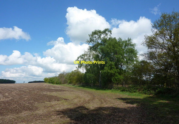 Photo 6"x4" Large field by the A1 Bilby c2010