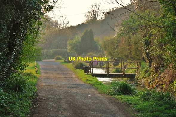 Photo 6"x4" Littlebredy: Track alongside stream Littlebredy c2010