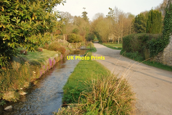 Photo 6"x4" Littlebredy: Track alongside stream Littlebredy c2010 P1
