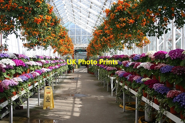 Photo 6"x4" Victorian Corridor, Winter Gardens, Duthie Park Aberdeen\/NJ9206 c2010
