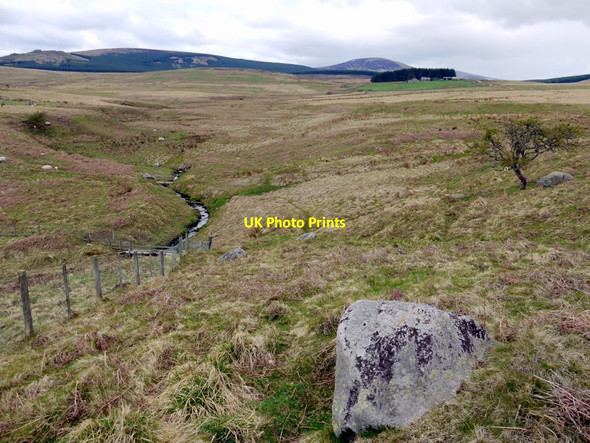Photo 6"x4" Roddam Burn, east of The Dod Ilderton c2010
