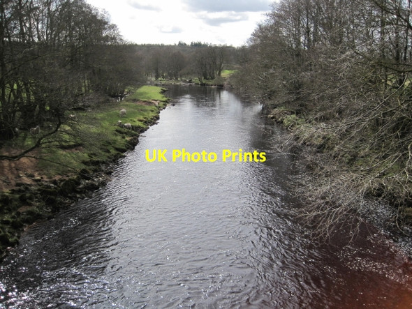 Photo 6"x4" River Irthing Banks\/NY5664 c2010