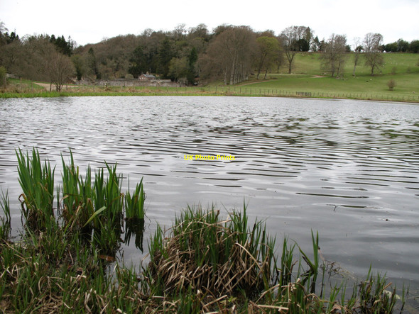 Photo 6"x4" Curling Pond, Penicuik Estate Penicuik c2010