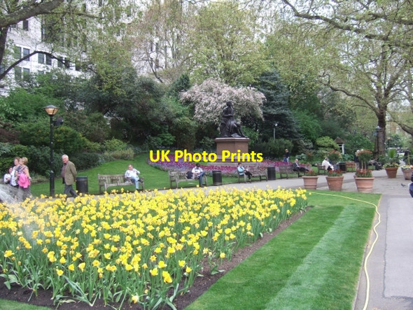 Photo 6"x4" Tulips in Victoria Embankment Gardens London c2010