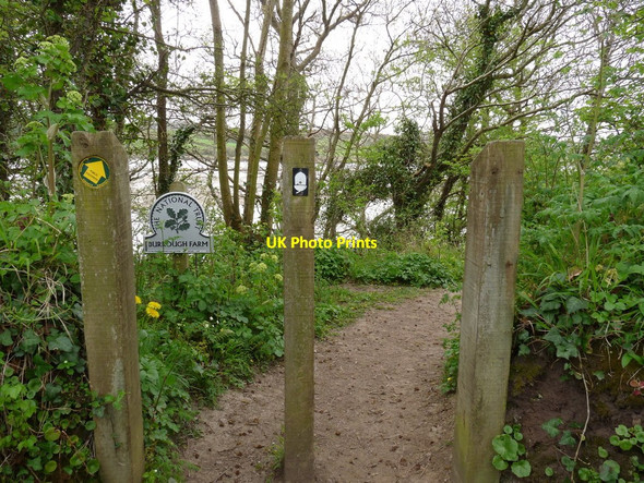 Photo 6"x4" A footpath leading from Windmill Lane Northam\/SS4429 c2010
