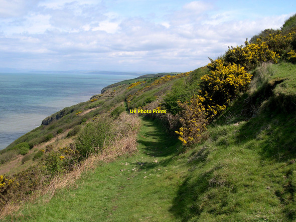 Photo 6"x4" Cardiganshire coast path. Gilfachreda c2010