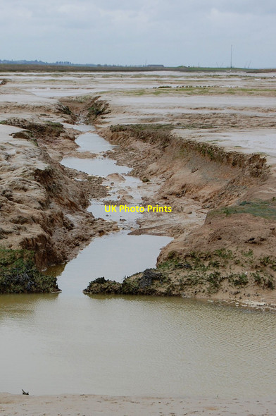 Photo 6"x4" New wetlands Churchend\/TR0092 c2010