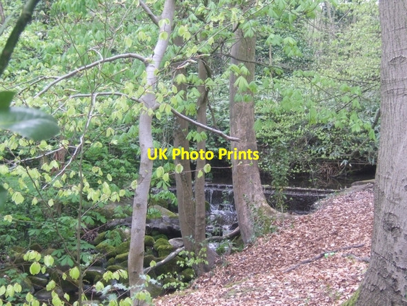 Photo 6"x4" Weir on the Waterhead Brook Bushbury\/SJ9203 c2010