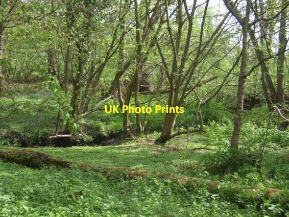 Photo 6"x4" Waterhead Brook Bushbury\/SJ9203 c2010