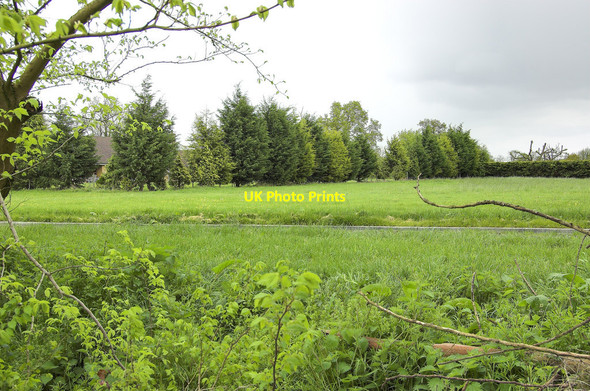 Photo 6"x4" Field at Epping Green Epping Green\/TL2906 c2010